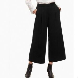 Aritzia Babaton cropped pants